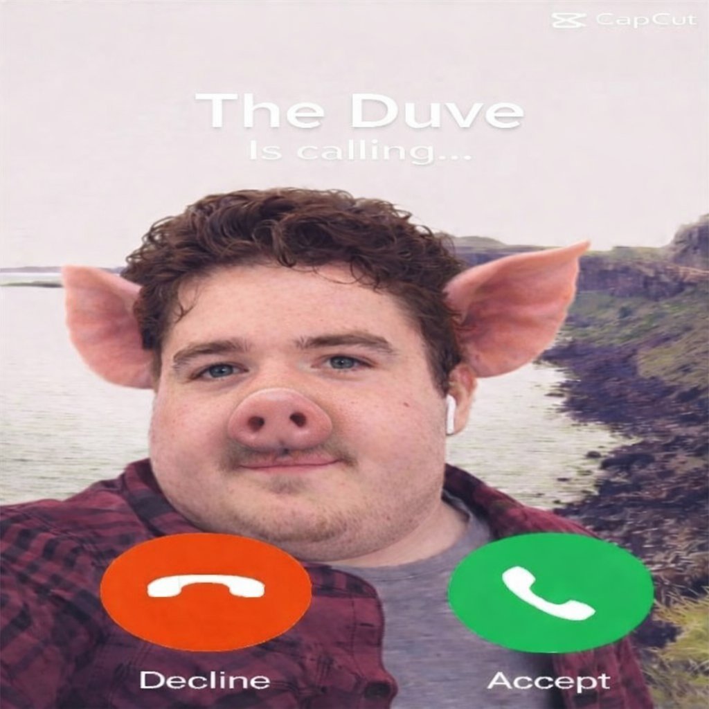 The Duve Pig